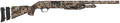294552203.png