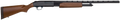 294552210.png