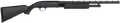 294552238.png