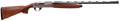 294552254.png