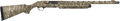 294552262.png
