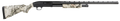 294552273.png