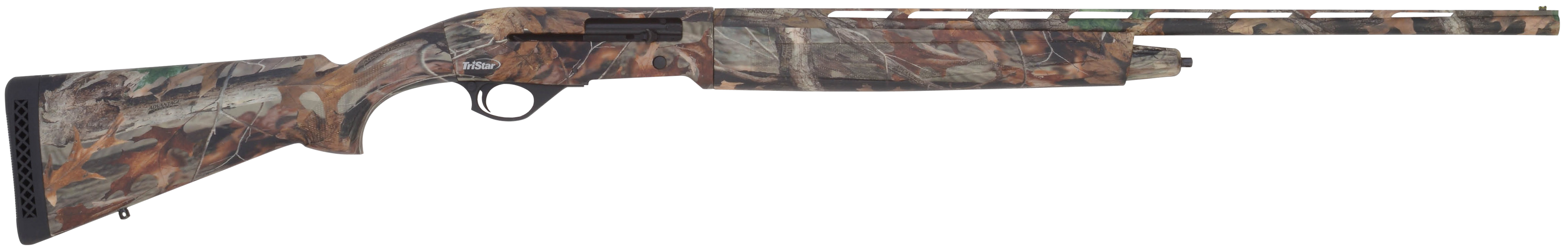 294552296.png