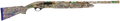 294552306.png