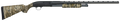 294552307.png