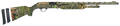 294552319.png