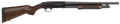 294552331.png