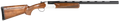 294552334.png