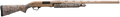 294552352.png