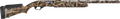 294552379.png