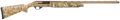 294552386.png