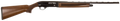 294552404.png