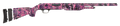 294552421.png