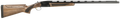 294552460.png