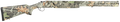 294552489.png