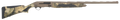 294552501.png