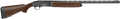 294552502.png
