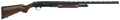 294552523.png