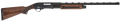 294552559.png