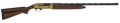 294552564.png