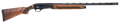 294552565.png