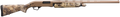 294552572.png