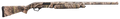294552590.png