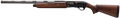 294552597.png