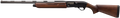 294552601.png