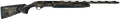 294552613.png
