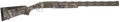 294552634.png