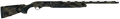 294552643.png