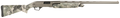 294552666.png