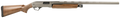 294552669.png
