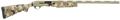 294552683.png