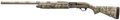 294552694.png