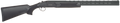 294552699.png