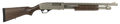 294552751.png