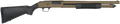 294552761.png