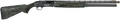 294552791.png