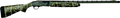 294552793.png