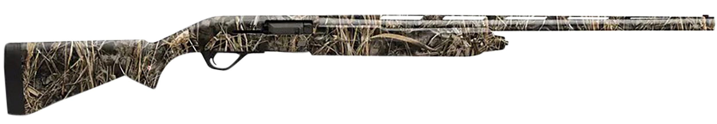 294552798.png