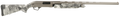 294552801.png