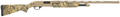 294552804.png