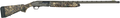294552812.png