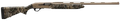 294552816.png