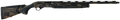 294552829.png