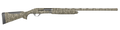 294552833.png