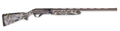 294552841.png