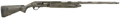 294552844.png